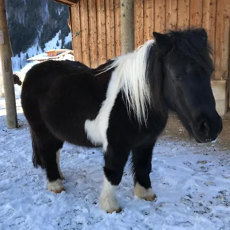 Pony-ziegen-hasen-ranch شقة *