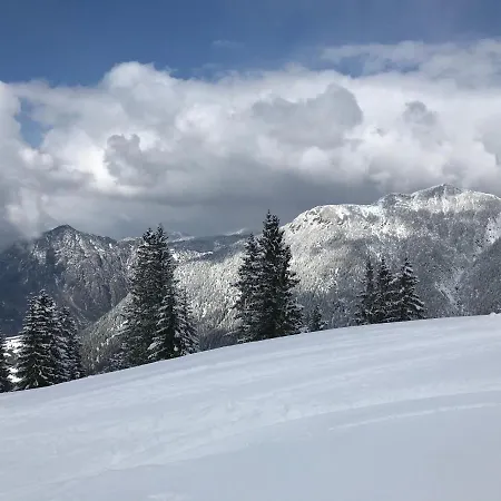 Pony-ziegen-hasen-ranch *