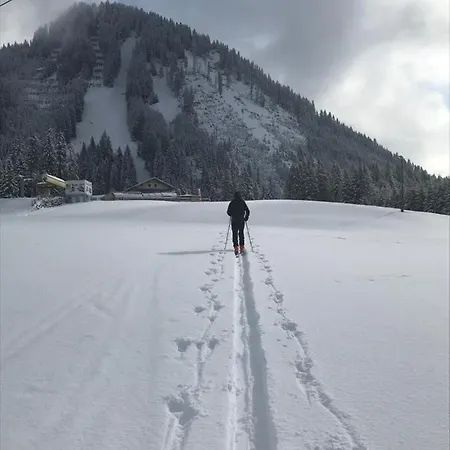 Pony-ziegen-hasen-ranch 아파트 *