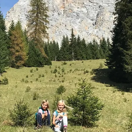 Pony-ziegen-hasen-ranch *