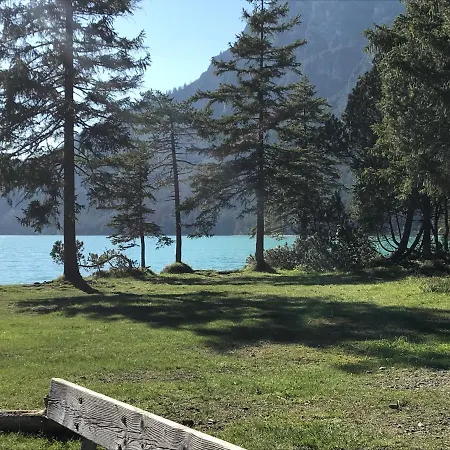 아파트 Pony-ziegen-hasen-ranch