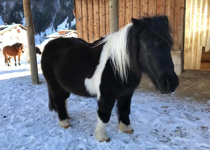 Pony-ziegen-hasen-ranch Apartman *