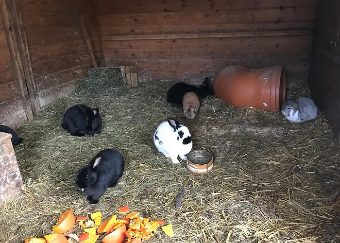 Апартаменты Pony-ziegen-hasen-ranch