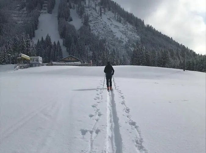 Pony-ziegen-hasen-ranch Апартаменты *