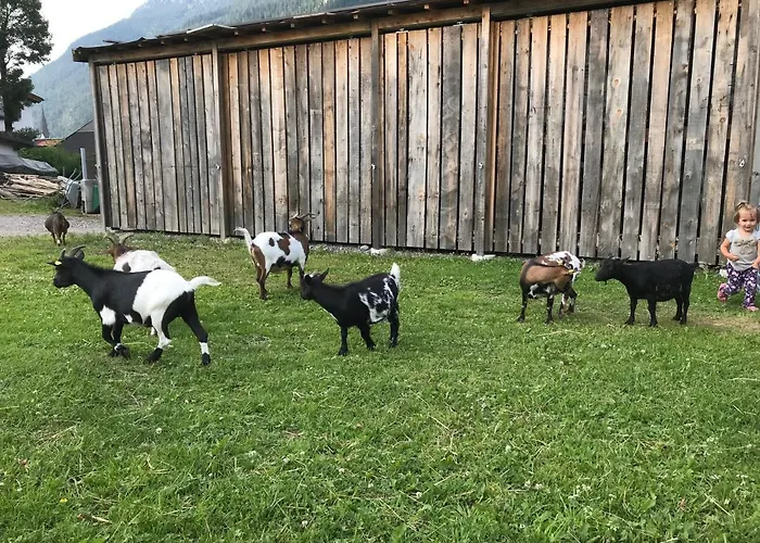 Апартаменты Pony-ziegen-hasen-ranch Бихльбах