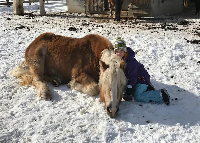 Апартаменты Pony-ziegen-hasen-ranch