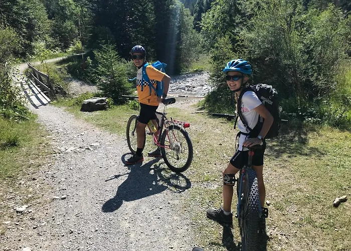 Апартаменты Pony-ziegen-hasen-ranch Бихльбах