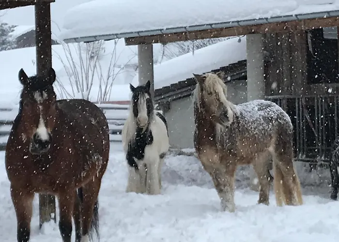 Апартаменты Pony-ziegen-hasen-ranch *