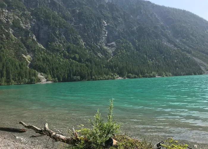 Pony-ziegen-hasen-ranch *