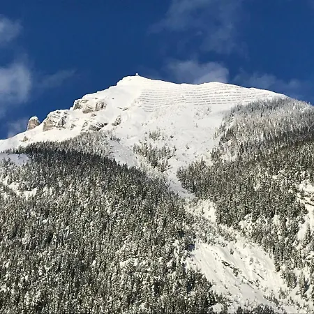 Apartman Pony-ziegen-hasen-ranch