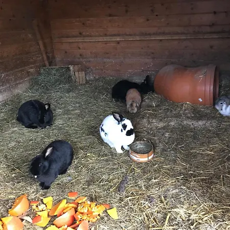 Apartman Pony-ziegen-hasen-ranch