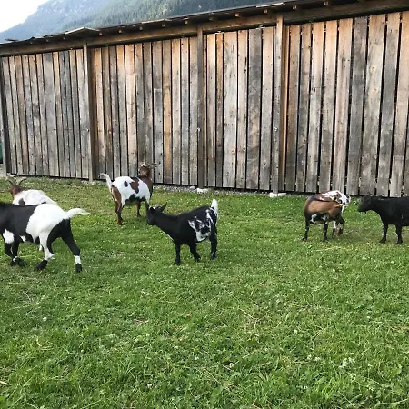 Apartman Pony-ziegen-hasen-ranch Bichlbach