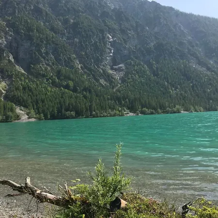 Pony-ziegen-hasen-ranch *