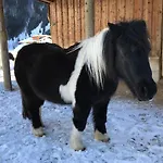 Pony-ziegen-hasen-ranch Apartamento *