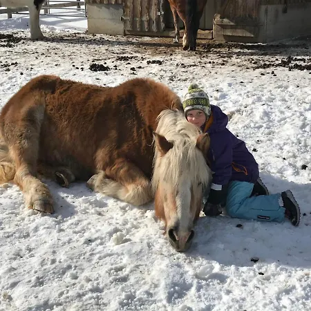 דירה Pony-ziegen-hasen-ranch